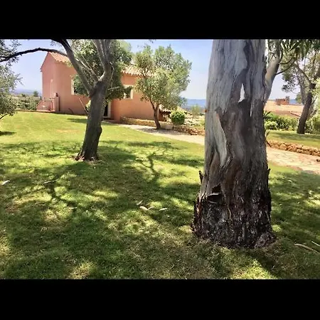 Arizona Villa Frejus